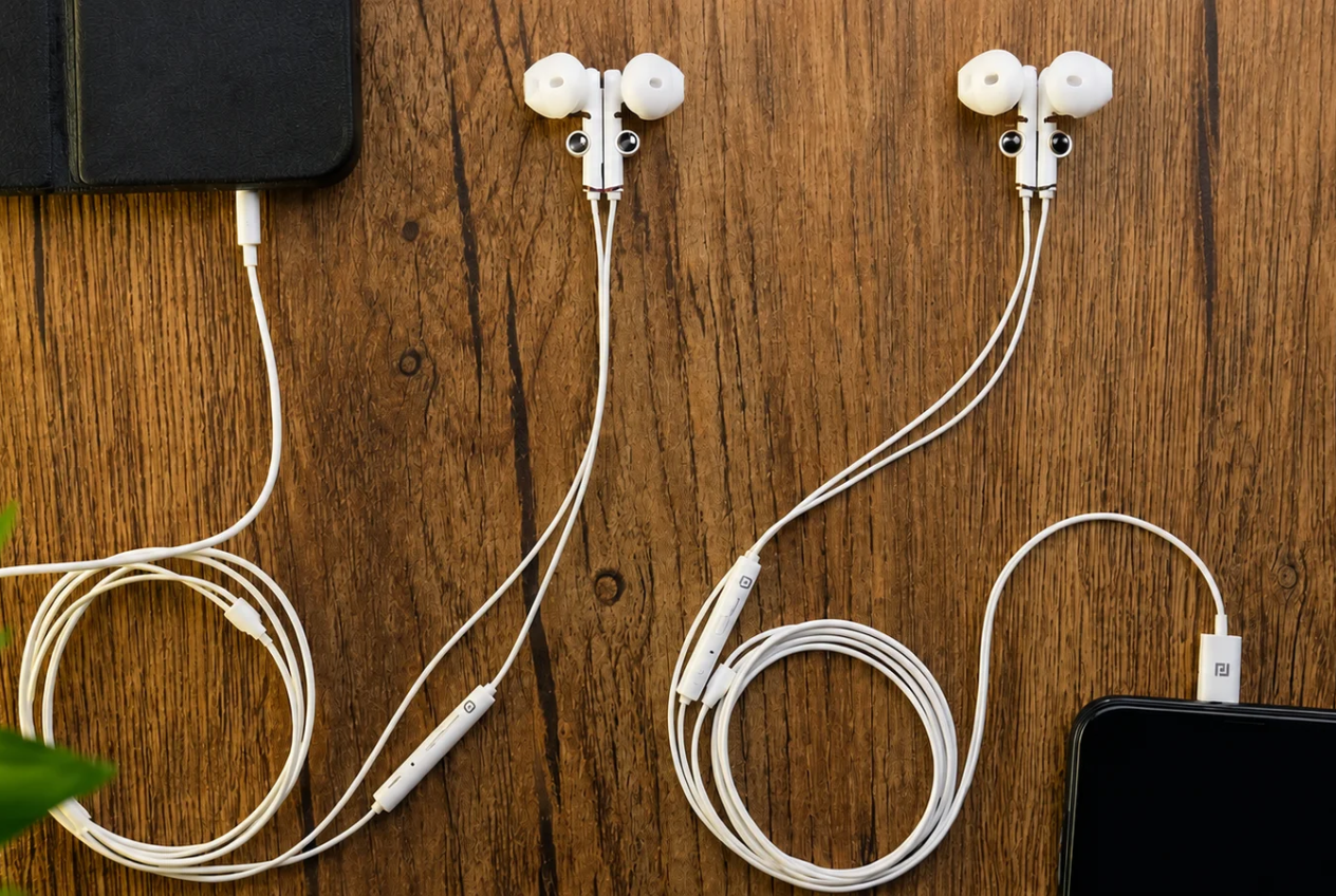 Read more about the article Portronics Conch Theta C Review: Is This ₹300 Type-C Earphone Worth Buying?