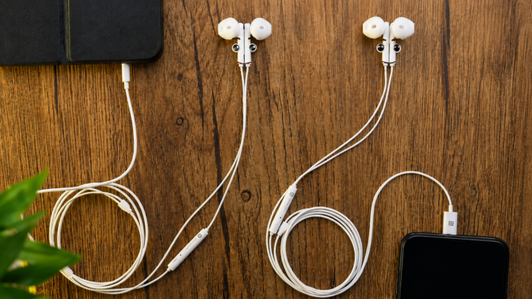Portronics Conch Theta C Review: Is This ₹300 Type-C Earphone Worth Buying?
